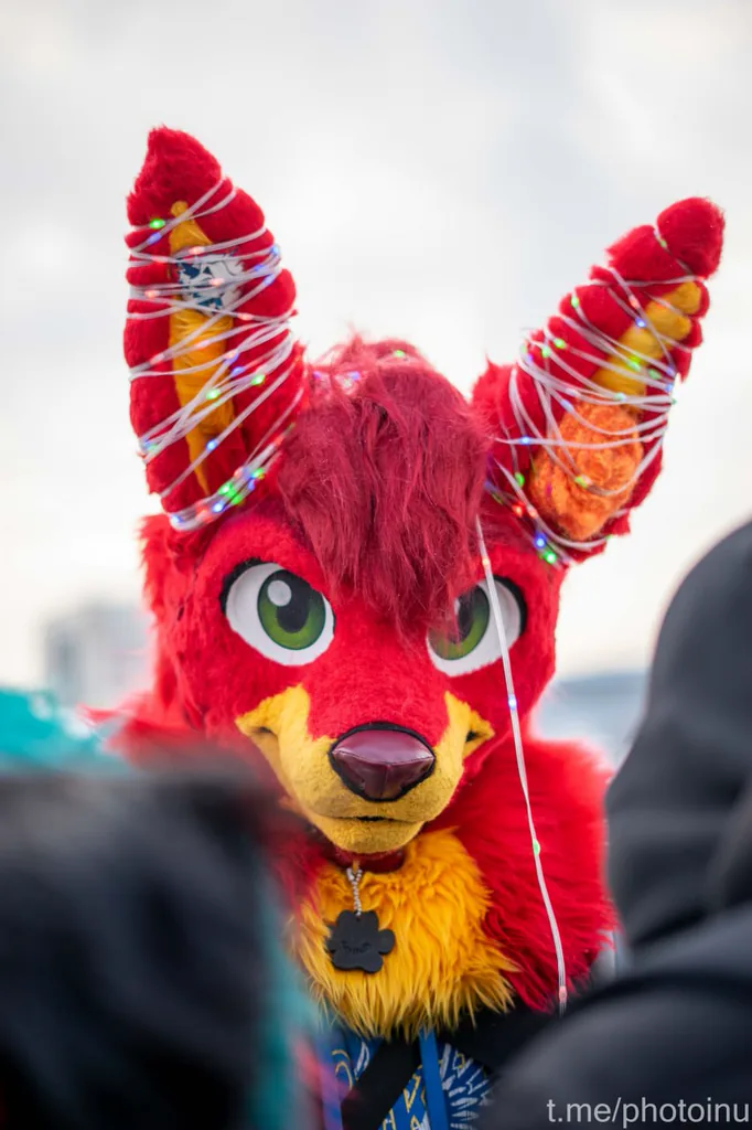 AxyWolfy